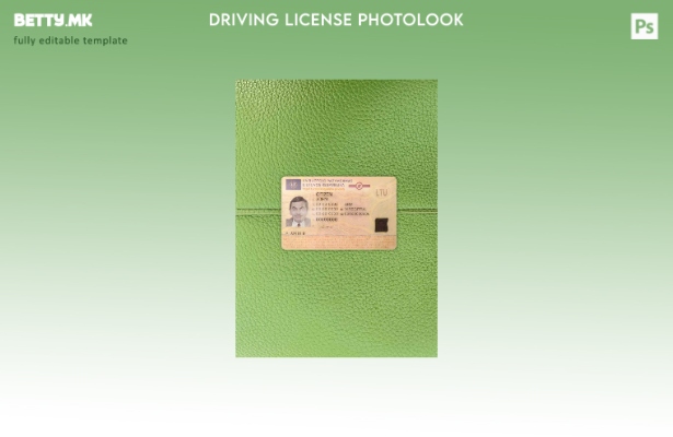 модерен стил Литванија dl photolook ПРЕДЕН шаблон